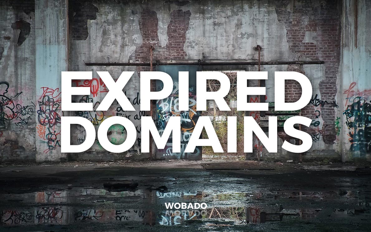 Buying Expired Domains: How to Find Hidden Value and SEO Opportunities